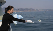 上海墓地 | 海葬成中国殡葬新趋势