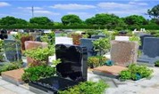 上海墓地|墓位20万每平,90后提前为自己买墓地?