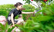 上海墓地｜母亲节丨思念之上，爱有回响