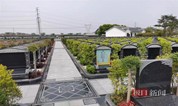 上海墓地|实探上海“天价墓园”:也有平价墓穴,最便宜的仅几百元