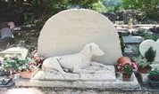 上海墓地|关注 | 狗狗墓地过万、服务费不菲......宠物“身后事”的法律监管有点尴尬