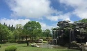 上海墓地｜关于骨灰寄存