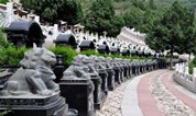 上海墓地｜墓地购买多年未使用是否可以退