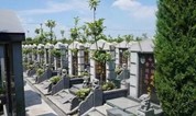 上海墓地｜经营性公墓建设法律依据