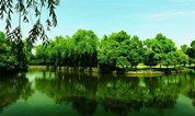 上海墓地|上海嘉定区公墓陵园(1)清竹园