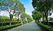 上海墓地 | 如何选择一块好墓地？如何挑选一块合适墓地？