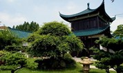 上海墓地|生命纪念“绿”意更浓,一起Get低碳纪念的N种方式
