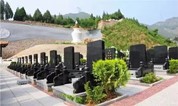 上海墓地｜购买的墓地是永久的吗？国际对于墓地购买有哪些规定