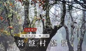 上海墓地｜2500余座墓延续13代人，这块墓地，属于彝族支系他留人
