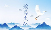 上海墓地 | 城市经营性墓地使用权的保护