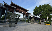 上海墓地 | 上海松鹤园公墓，一个传承记忆的场所
